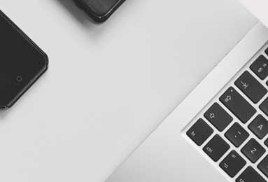 信息披露违规 金字火腿被罚